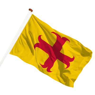 transparent background