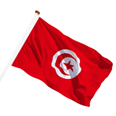 transparent background