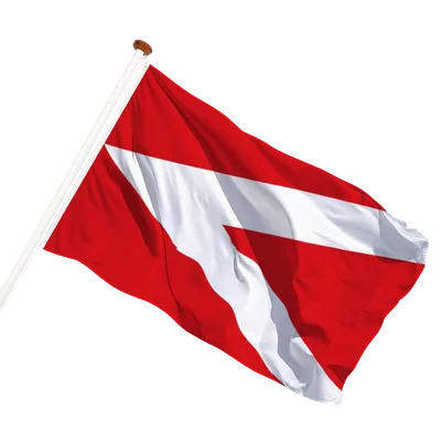 transparent background