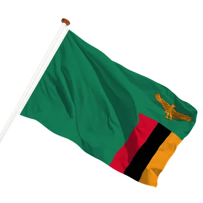 transparent background
