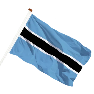 transparent background