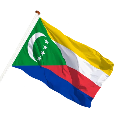 transparent background