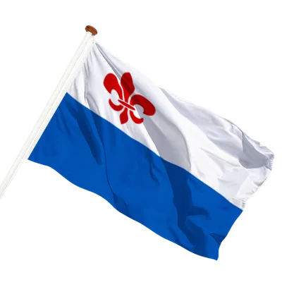 transparent background