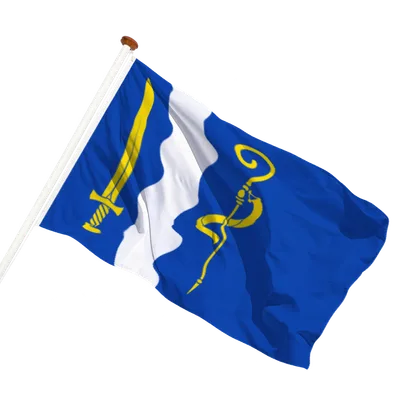 transparent background
