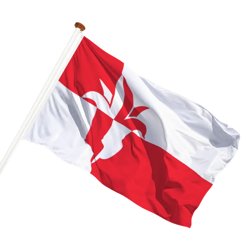Flag of Bernheze