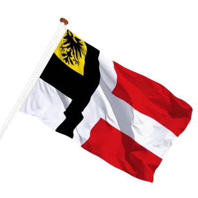 transparent background