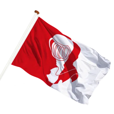 transparent background