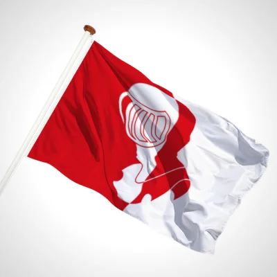 white background