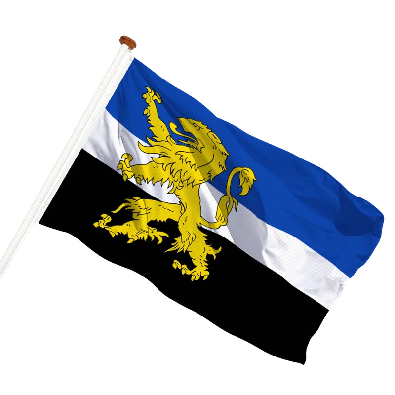 Flag of Hilvarenbeek