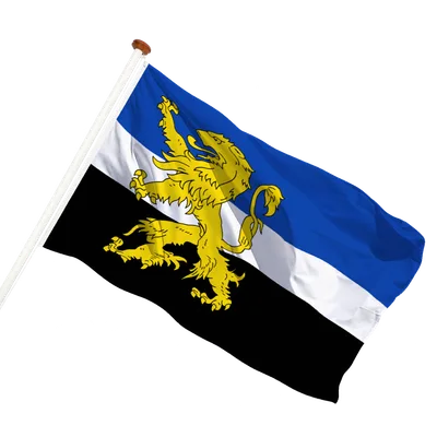 transparent background