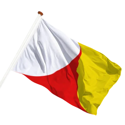 transparent background
