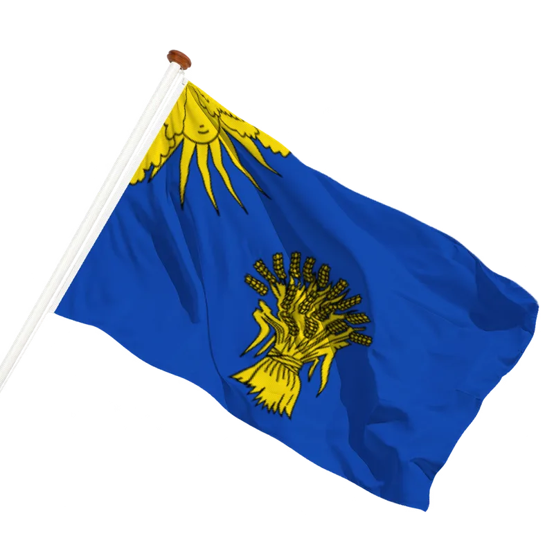 Flag of Reusel-De Mierden