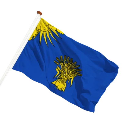transparent background