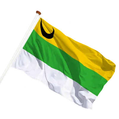 transparent background