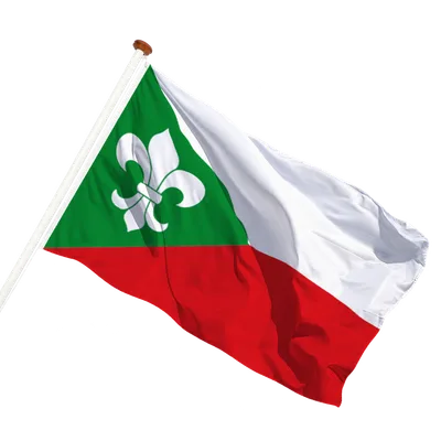 transparent background