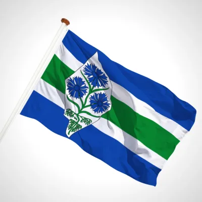 white background