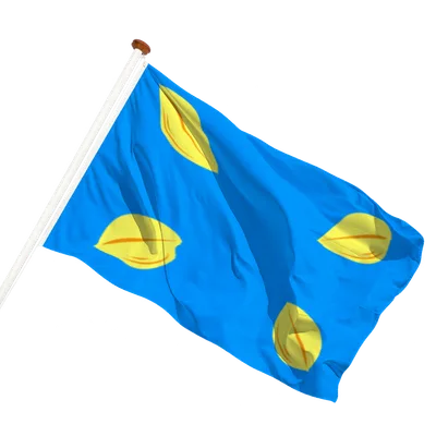 transparent background