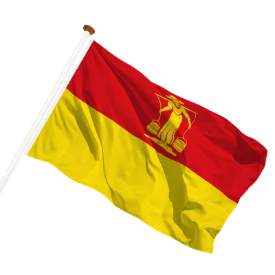 transparent background